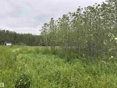 Interior photo 4 of 25418 Twp Rd 634A