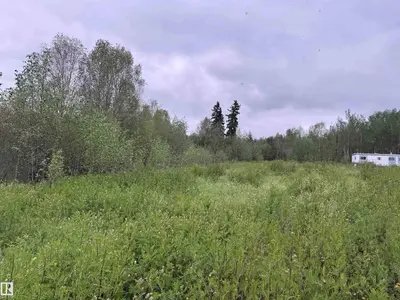 Interior photo 2 of 25418 Twp Rd 634A