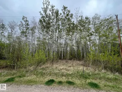 Photo 2 of #28 60503 Rge Rd 470