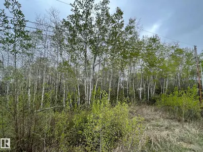 Photo 4 of #28 60503 Rge Rd 470