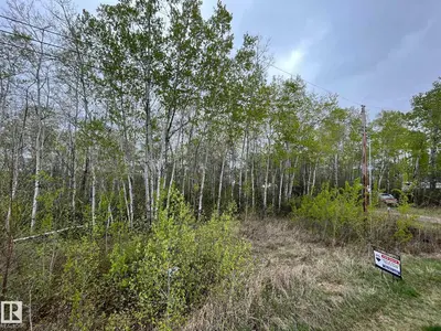 Photo 3 of #28 60503 Rge Rd 470