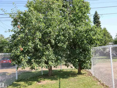 Interior photo 2 of 4306 55 Ave
