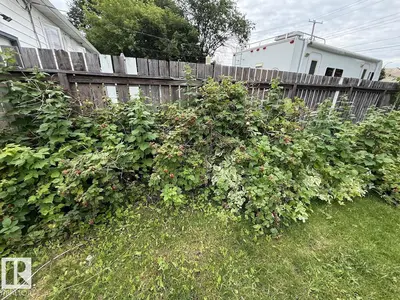 Interior photo 2 of 7607 83 AV NW