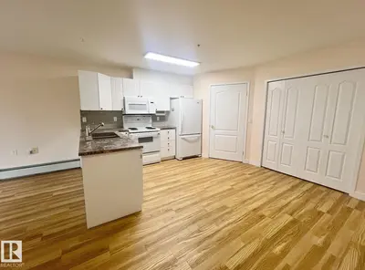 Interior photo 4 of #147 13441 127 ST NW