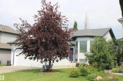 Interior photo 4 of 64 CREEKSIDE WY