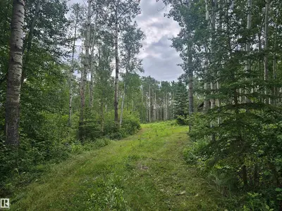 Interior photo 4 of #309 1414 HWY 37