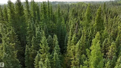 Interior photo 3 of Range Rd 65