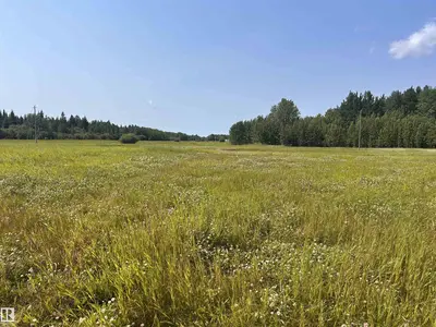 Interior photo 2 of 210054 TWP RD 660