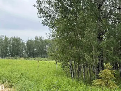 Photo 4 of Lot 7 Buck Lake Estates